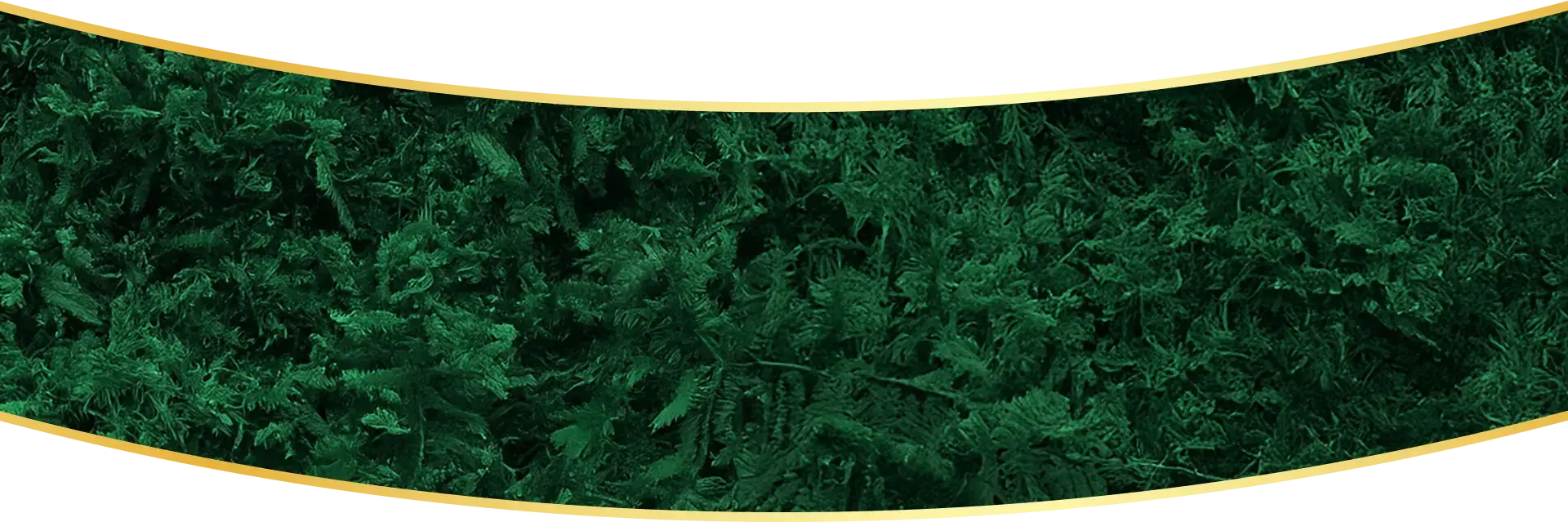 Effective Background