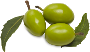 NEEM FRUITS