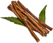 NEEM STEMS